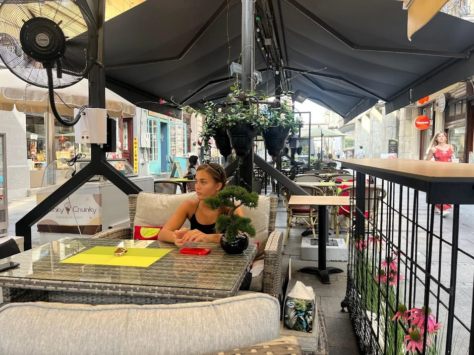 Sofi u kafiću, društvo joj pravi Lepi Mića