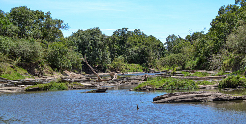 Rzeka zalała rezerwat. Turyści czekali na pomoc na drzewach