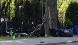 Trzy osoby zginęły w Wilanowie. Bmw uderzyło w drzewo i stanęło w płomieniach