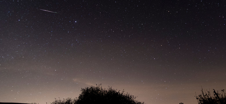 Roje meteorów nad Polską. Niebawem zaleją niebo