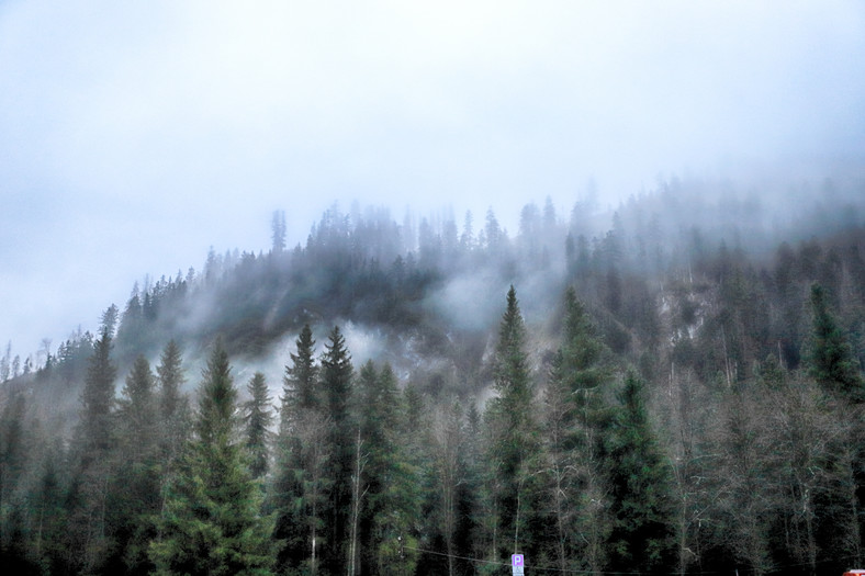 Tatry