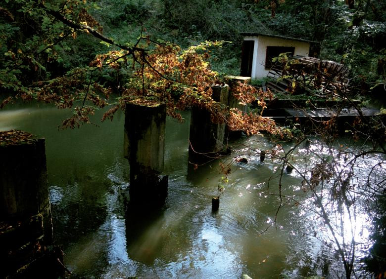 Drawieński Park Narodowy