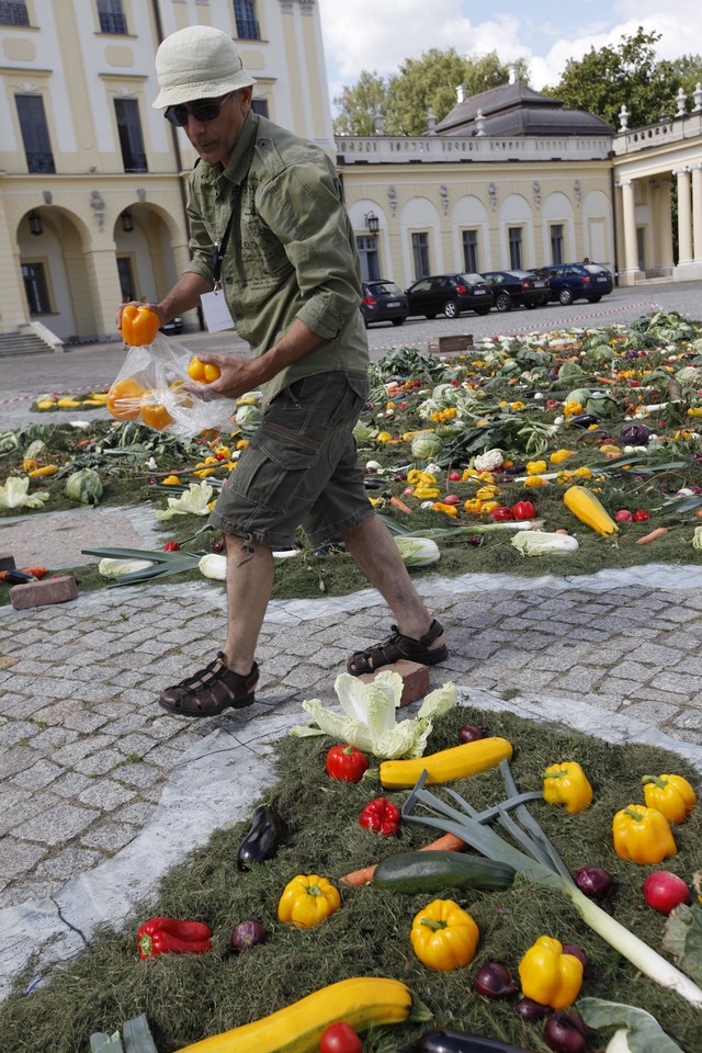 "Warzywna" instalacja przy Pałacu Branickich