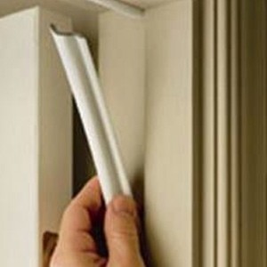 Weatherstrip- PJ Fitzpatrick