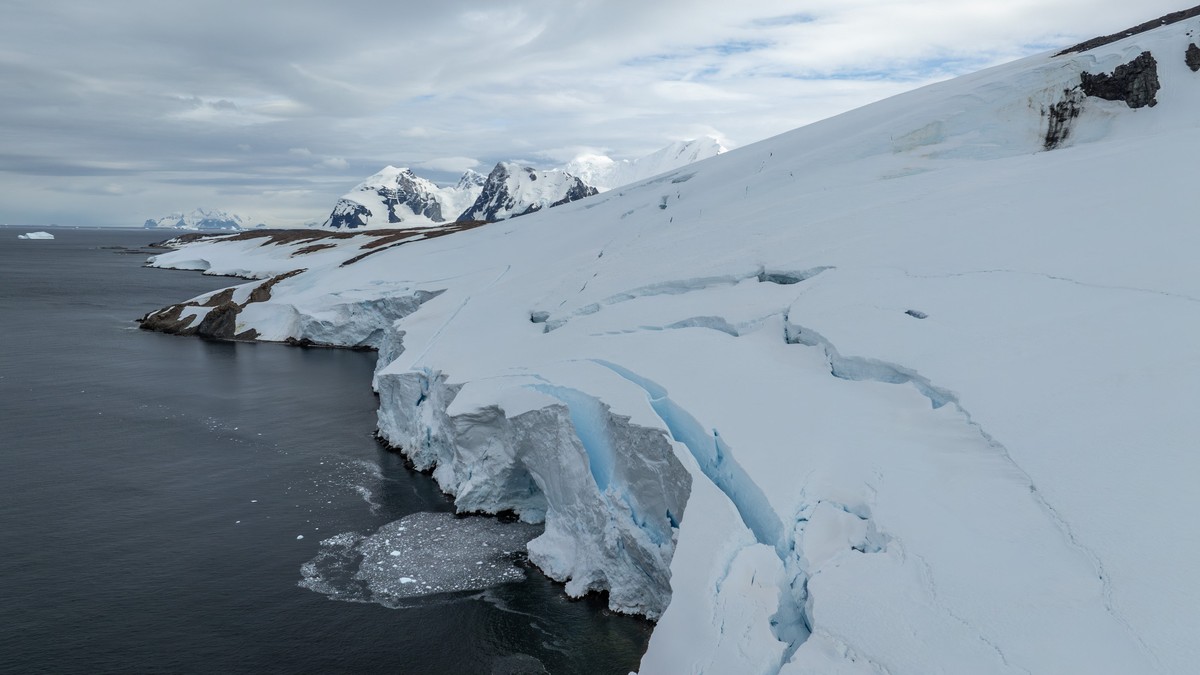 Ilustracija: Antarktik