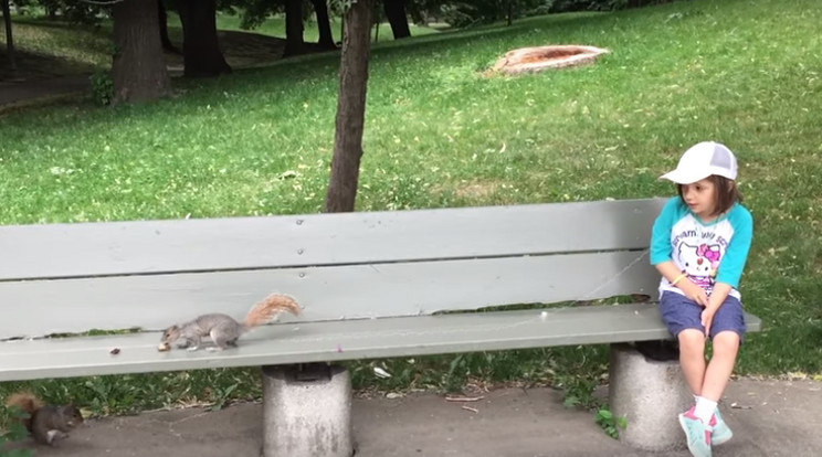 Egy mókus segített a kislánynak kihúzni a fogát