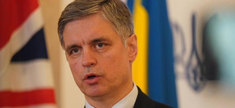 Ambasador Ukrainy: nie mamy wystarczającej ilości sprzętu, aby odeprzeć rosyjski atak