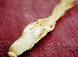 Korzeń na lepszy seks. Zamiast Viagry