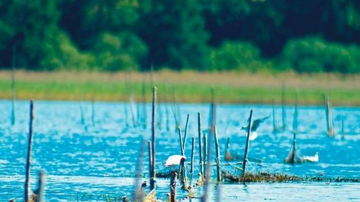 Rośnie opór przeciwko pomysłom ograniczeń w korzystaniu z obszaru Natura 2000 "Jeziora szczecineckie". Powstało Stowarzyszenie Miłośników Jeziora Wierzchowo, które chce chronić je przed... ekologami.