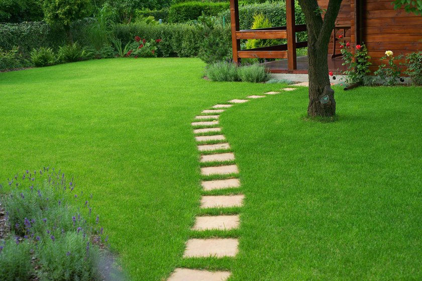 Beautiful lawn and path