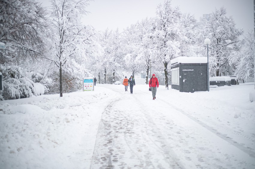 Sneg u Nemačkoj