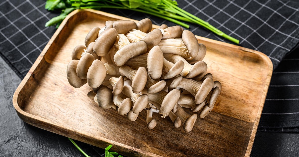 Grzyby się skończyły? Ależ skąd! Leśnik pokazał imponujące zbiory