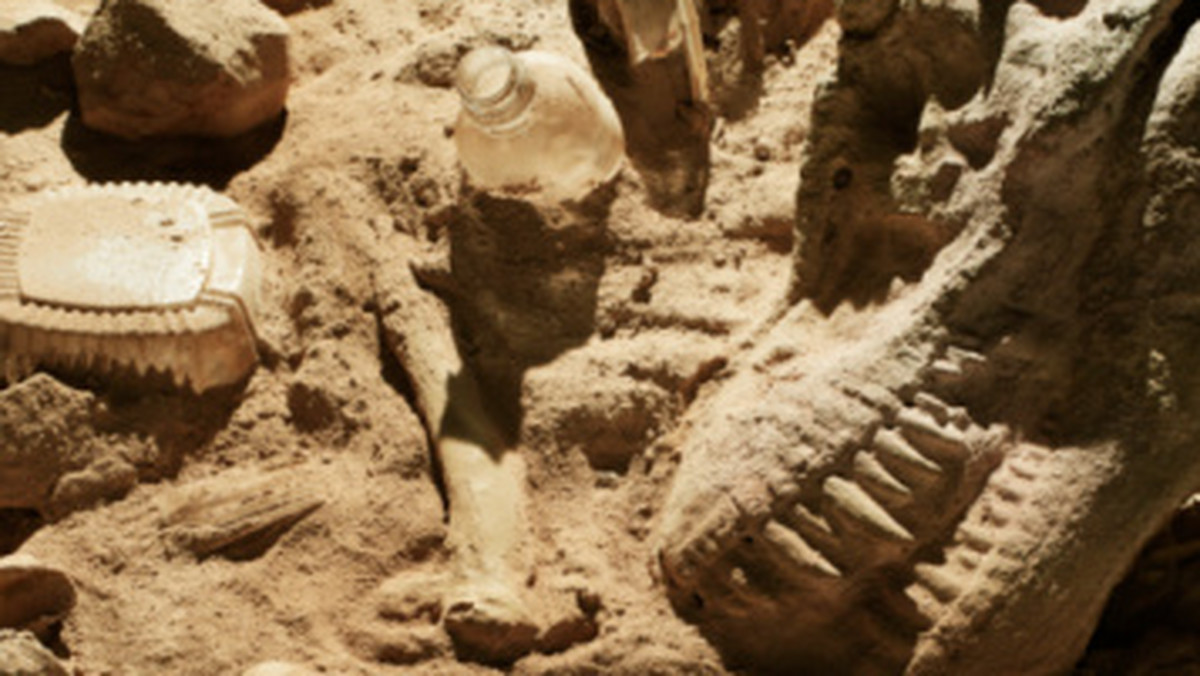 Dinozaur-noworodek miał zaledwie 12 cm długości, gdy utonął w strumieniu. O odkryciu jego skamieniałości informuje serwis Discovery News.