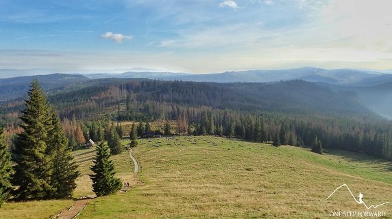 Część trasy za nami - w dole widoczna jest Rusinowa Polana