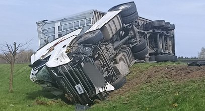 Dramat na obwodnicy Lubartowa. Osobówka i ciężarówka wypadły z drogi. Jest nagranie