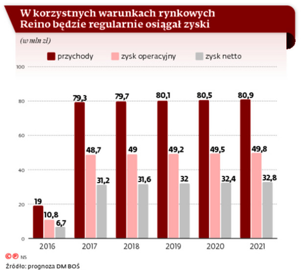 W korzystnych warunkach rynkowych Reino będzie regularnie osiągał zyski