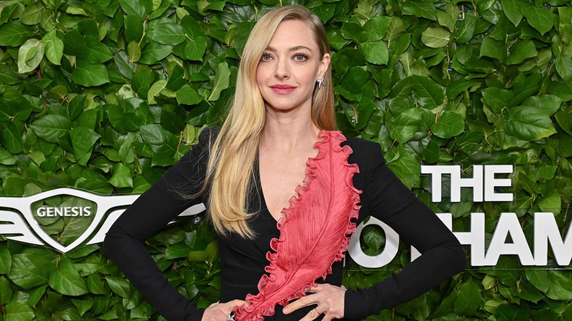 Americká herečka Amanda Seyfried. 