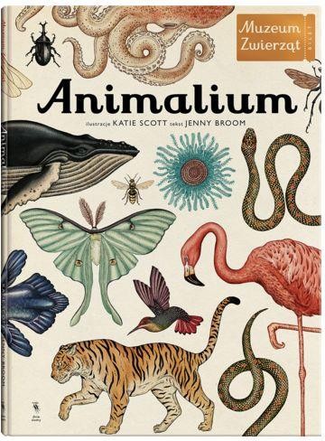 Animalium