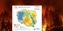 Zagrożenie pożarowe lasów w Polsce jest już wysokie. Występuje w 11 województwach