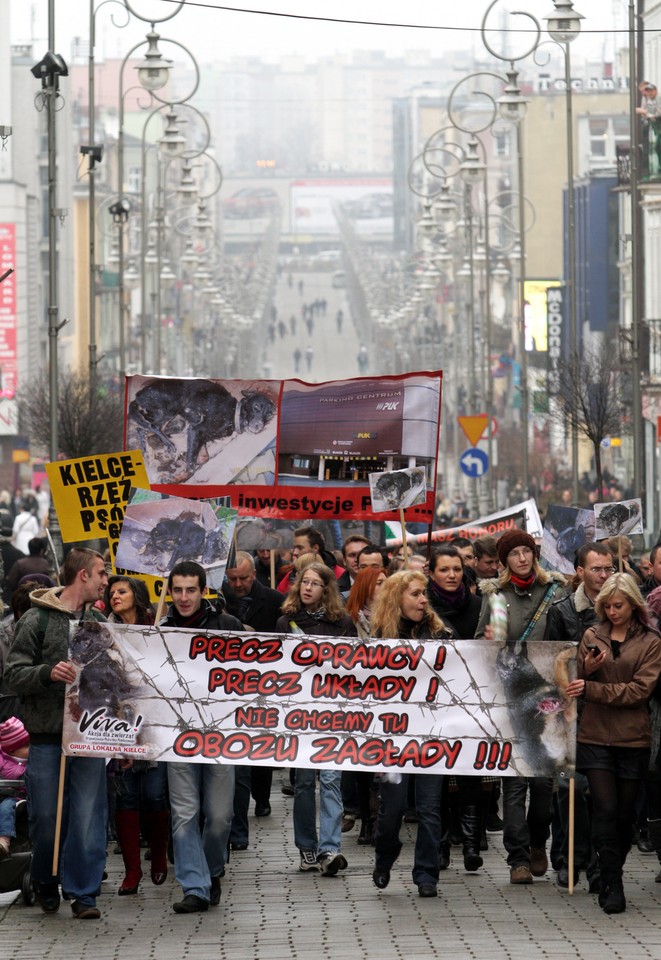 KIELCE MANIFESTACJA SCHRONISKO DLA ZWIERZĄT