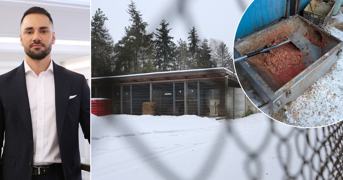 Interwencja posła Litewki w Sobolewie. "Dziewczyna padła na kolana i zaczęła płakać"