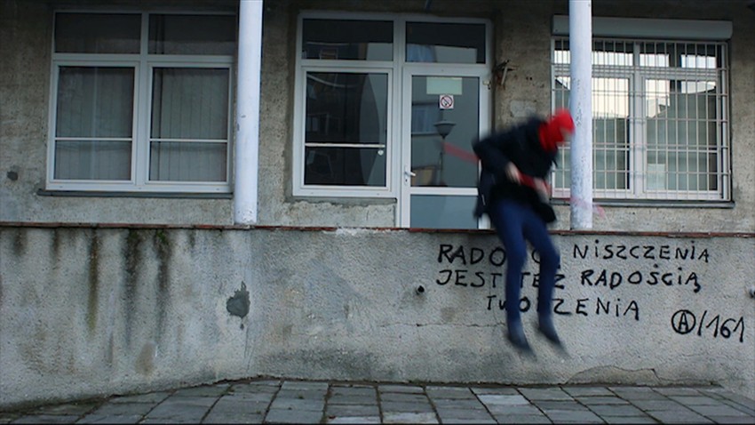 Rafal Zarski, Poslednji revolucionar 2