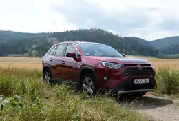 Toyota RAV4 2.5 Hybrid – hybrydy da się jednak lubić – test długodystansowy