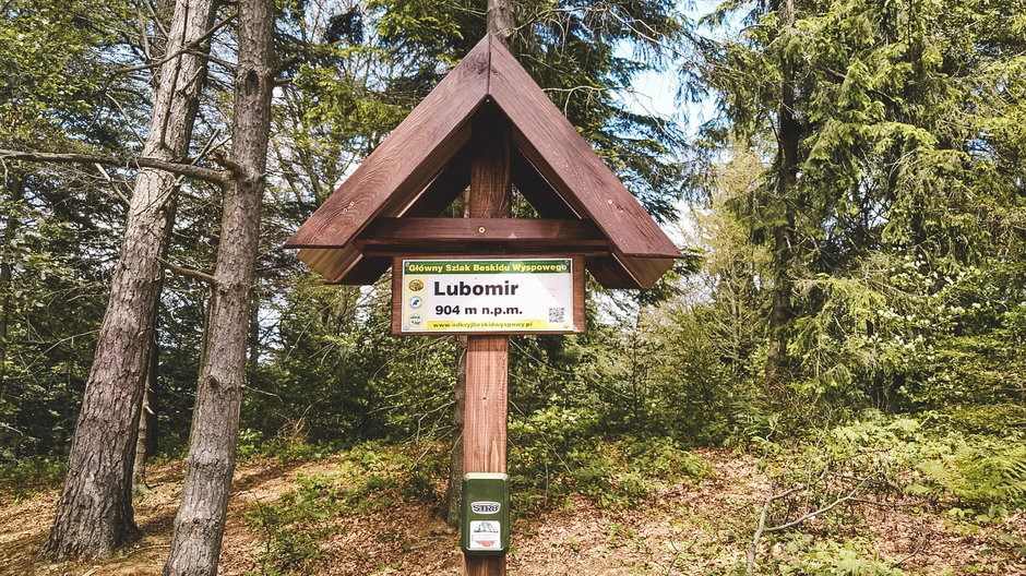 Lubomir swoją nazwę zawdzięcza Kazimierzu Lubomirskiemu