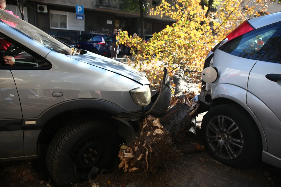 Pokupio drvo, pa auto, onda i u restoran
