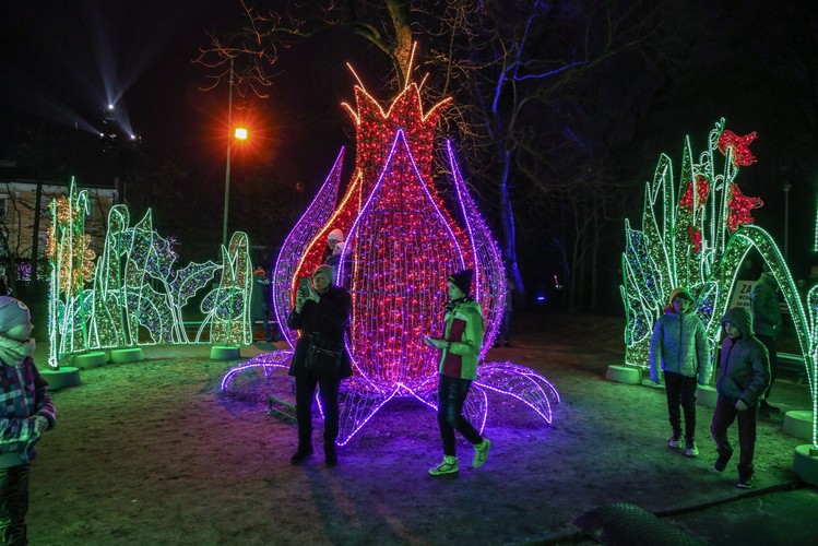 V Królewski Festiwal Światła w Wilanowie