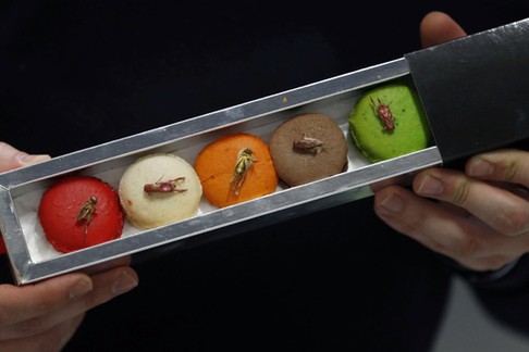 A man holds up a pack of macaroons containing dehydrated insects at the Micronutris plant in Saint O