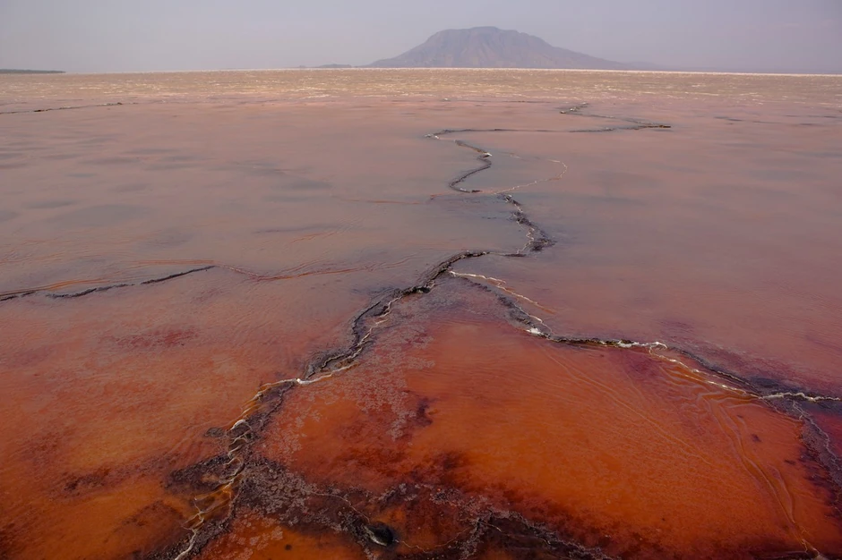 Velika rasedna dolina, Tanzanija