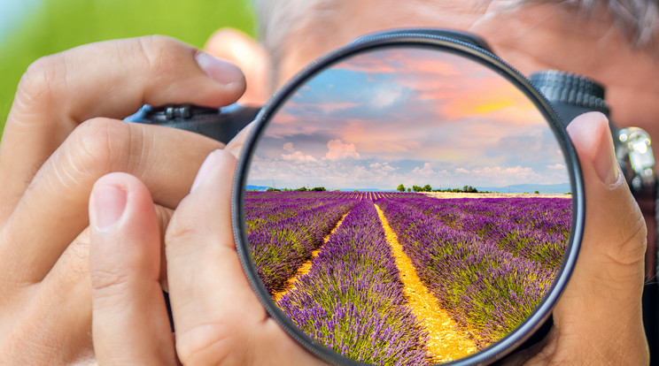 Ha alacsonyabb 
szögből készítjük a 
képeket, a virágoknak kiváló hátteret adhat a kék 
égbolt /Fotó: Shutterstock