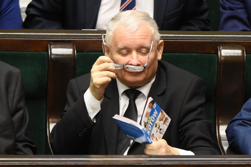 Tym gestem Kaczyński rozbił bank!