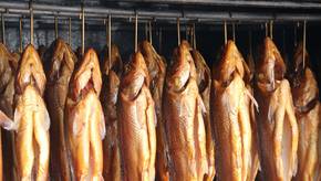 Fisch und Fleisch selbst räuchern: Die beliebtesten Räucheröfen