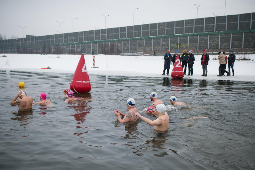 Katowice. Mistrzostwa Polski w zimowym pływaniu