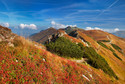 Tatry Zachodnie - szlak na Siwą Przełęcz