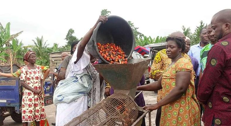 Palm oil processing