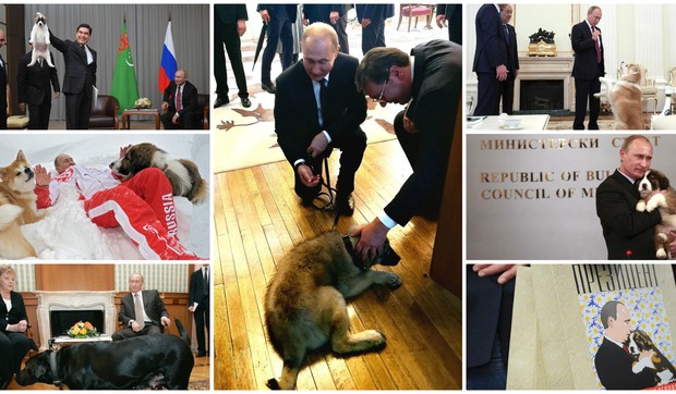 Vladimir Putin, Psi, Ljubimci