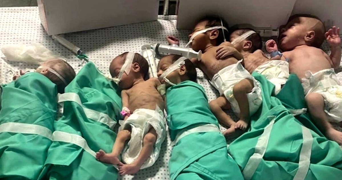 Newborn babies die as Gaza hospital runs out of power Business Insider Africa