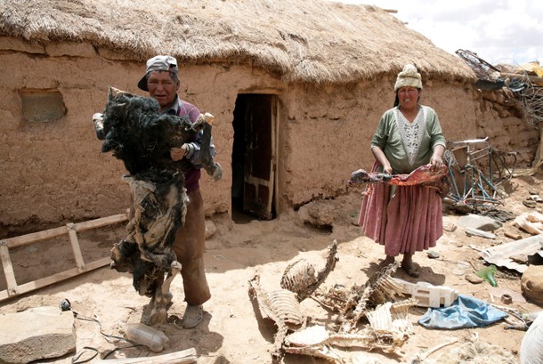 Felix Mamani and his wife hold carcasses of their animals that died during the worst drought in 25 y