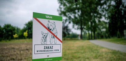 Tychy: w parkach stanęły tabliczki