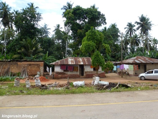 Zanzibar w obiektywie Kingi Rusin / zdjęcia zamieszczone na blogu Kingi Rusin
