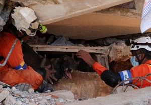 Spasioci traže preživele i sa psima u Venecueli | Foto: Reuters
