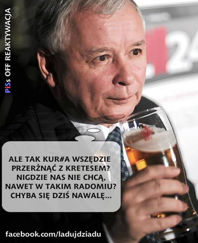 mem / PiSs off reaktywacja