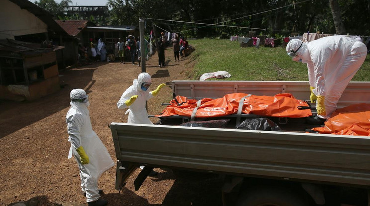 Így pusztít az ebola