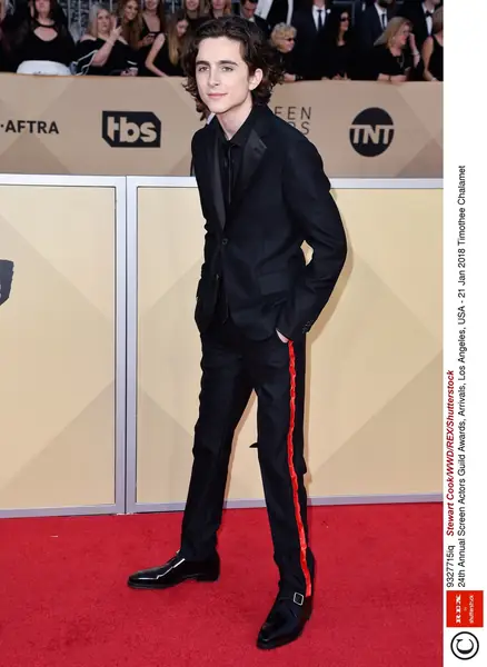 Timothee Chalamet na rozdaniu nagród SAG w 2018 roku