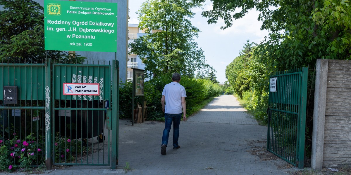 Część ogródków była zagrożona, ale udało się wywalczyć, że nadal będą tam tereny zielone.