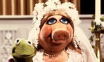 Miss Piggy bierze ślub. Wychodzi za...