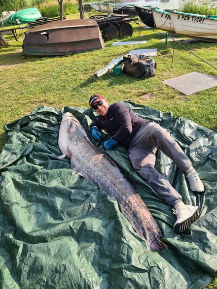 Sum gigant wyłowiony z Paprocan · fot. Nadesłane przez czytelnika